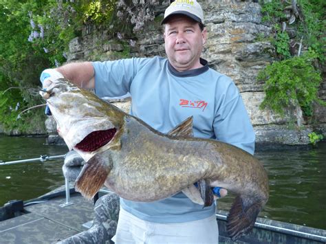 Angry catfish - We asked Angry Catfish Briggs to explain the ISWA data he is well known for talking about on his Youtube channel. Our listeners wanted us to ask AngryCatfish...